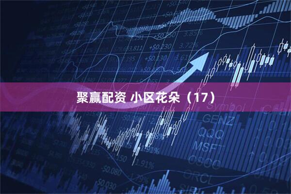 聚赢配资 小区花朵（17）
