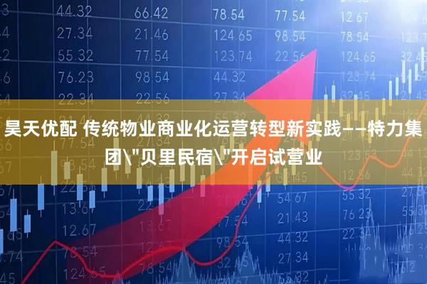昊天优配 传统物业商业化运营转型新实践——特力集团＂贝里民宿＂开启试营业